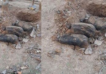 Jadi Sasaran Santet, Sosok Yulia Fera yang Namanya Tertulis di Dalam Bungkusan Pocong Berisi Bangkai Ayam Dibocorkan Kepala Desa: Teman-temannya Anak Punk!