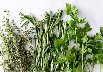 Makan 7 Rempah-rempah Ini Tiap Hari Untuk Detoks & Perpanjang Usia!