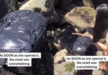 Sedang Asyik Bermain TikTok di Pinggir Pantai, Remaja di AS Ini Kaget Bukan Kepalang lantaran Temukan Koper Berisi Potongan Tubuh Manusia