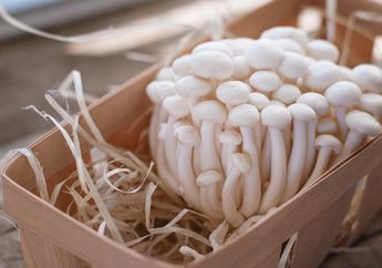  Masih Sibuk dengan Pandemi Corona, Waspada Wabah Baru dari Jamur Ini Muncul! Pemerintah Langsung Bertindak