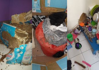 Ditinggal Mudik Selama Pandemi, Begini Penampakan Kos Para Mahasiswa Rantau yang Berbulan-bulan Tak Dihuni, Bikin Ngeri!