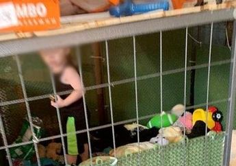 Hidup Dikelilingai 600 Hewan Termasuk 8 Ular Piton dan 513 Tikus, Beginilah Kondisi Miris yang Ditemukan Hidup di Kandang Laiknya Hewan