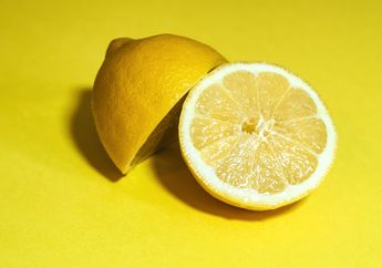 Cukup Letakkan Potongan Lemon Berisi Garam di Sudut Dapur, Rasakan Manfaatnya yang Luar Biasa Bahkan Bisa Berfungsi Sebagai DIsinfektan Alami!