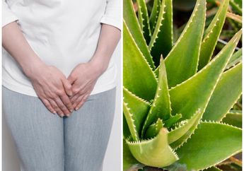 Biasa Jadi Hiasan di Pekarangan Rumah, Siapa Sangka 3 Tumbuhan Ini Efektif Mengatasi Keputihan! Bisa Langsung Dicoba Sekarang