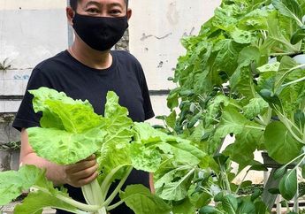 Dulu Berhasil Buat Saham Freeport Kembali ke Tangan Indonesia, Mantan Menteri ini Pilih Jalani Profesi Sederhana Sebagai sebagai Petani Usai Tak Lagi Jadi Pejabat