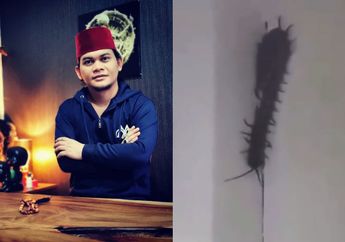 Viral Video Kelabang Raksasa Tengah Menggeliat di Tembok Rumah Warga, Mbah Mijan Langsung Beri Peringatan Keras Soal Keadaan Bumi yang Sudah Tua: ini Kode dari Alam!