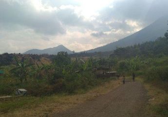 Hilang Selama 31 Jam Secara Misterius di Gunung Guntur, Pendaki ini Ternyata Ditemukan di Dekat Sumber Air dengan Badan Nyaris Telanjang, Hanya Mengingat Sedang Tidur dalam Tenda dengan Teman-temannya