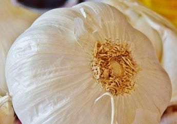 Hati-hati, Jangan Terlalu Banyak Konsumsi Bawang Putih dalam Kondisi Ini, Akibatnya Bisa Fatal!