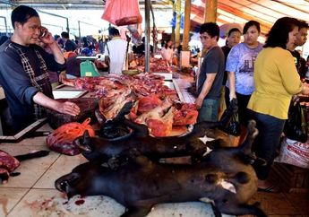 Sementara Covid-19 Mengejutkan Jagat Raya hingga Mengubah Cara Hidup Umat Manusia, Profesor Ini Bilang 'Sudah Tidak Kaget,' Kok Bisa?