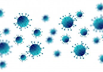 Usut Soal Konspirasi Asal-Usul Covid-19, 'Wanita Kelelawar' Laboratorium Wuhan Beri Bocoran ke Tim WHO, Ini yang Mereka Bicarakan!