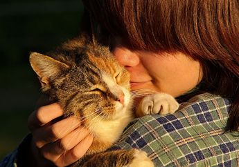 Kucing Juga Bisa Mengerti Kalau Kita Sayang Dengannya, Begini Cara Menyampaikan Rasa Sayang ke Kucing