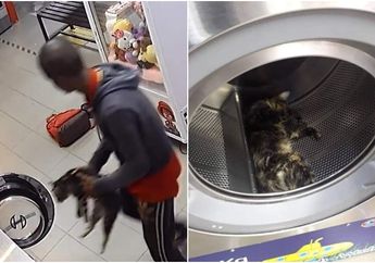 Biadab! Pria Keji Masukkan Kucing Hidup ke dalam Mesin Cuci dan Digiling Layaknya Pakaian Kotor hingga Mati