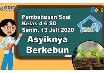 Asyiknya Berkebun, Cari Tahu Cara Menanam Tanaman dengan Barang Bekas di Video Ini