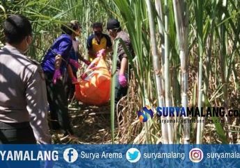 Hendak Periksa Pekerjaan di Perkebunan Tebu, Warga Justru Dikejutkan dengan Mayat Pria Tanpa Busana yang Jasadnya Sudah Mulai Hancur