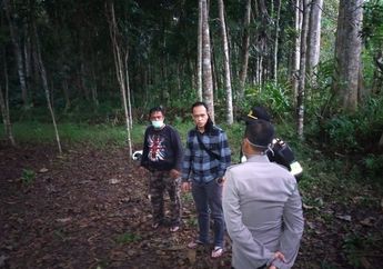 Tega! Karyawan BUMN Buang Anaknya di Tengah Hutan, Sang Buah Hati Kini Ditemukan Warga dalam Keadaan Mengenaskan Setelah Dicabik-cabik dan Digondol Anjing!
