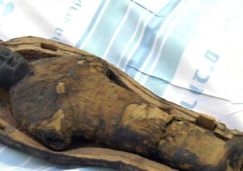 Umurnya 3.000 Tahun, Rumah Sakit di Israel Sedang 'Menangani Mumi Anak' yang Berpotensi Menjadi Makam Firaun Ini: 'APakah Itu Anak Kecil?'