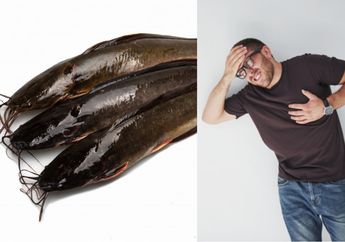 Bikin Geger! Tenyata Makan Ikan Lele Berlebihan Bisa Mati Mendadak, Begini Penjelasan Ahli