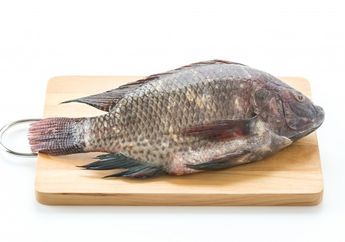Sering Dijadikan Lauk, Ikan Air Tawar ini Simpan Zat Berbahaya yang Berpotensi Sebabkan Kanker