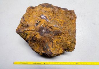 Hanya Terlihat Seperti Batu Burik Tidak Berharga, Penemunya Baru Sadar 31 Tahun Kemudian Batu Ini Bukan Benda Sembarangan, Lebih Langka dari Emas Bahkan Berlian