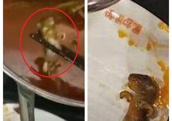 Menjijikkan, sedang Lahap Menyantap Sup, Wanita Hamil Ini Kaget bukan Main Melihat Tikus Mati di dalam Hotpot, Pihak Restoran Malah Menawarkan Pelanggannya untuk Aborsi!