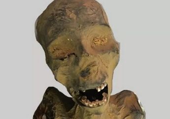 Para Ahli Kaget Temukan Mumi Perempuan dengan Ekspresi Menjerit, Diperkirakan Temui Ajal Gegara Penyakit Ini