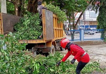 Dikira Tukang Sapu, Camat di Samarinda Malah Disuruh Bersihkan Sampah, Anis Siswantini Beri Jawaban Menohok: Bapak Menyuruh Orang Lain Menyapu Sampah di Kantor Anda?