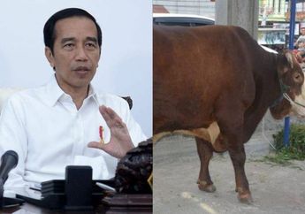 Dipilih Orang Nomor Satu di Indonesia, Sapi Kurban Presiden Jokowi Ini Sampai Diperlakukan Bak Manusia, Mandi 3 Kali Sehari hingga Rutin Makan Telur Campur Madu