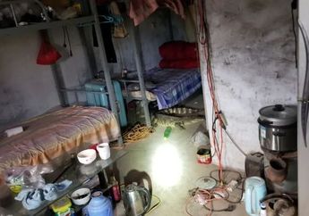 Merinding, Pria ini Tak Sadar Selama ini Ada Buaya Hidup di Kolong Tempat Tidurnya, Setelah Sadar Syok Tahu Buaya Itu Masuh Daftar Merah Hewan yang Sangat Berbahaya