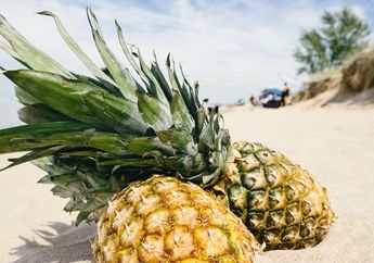 Tanpa Sampo Khusus, Ketombe Bisa Hilang dalam Waktu 7 Hari Hanya dengan Buah Nanas! Begini Cara Buatnya