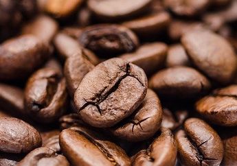 Inilah 5 Deretan Kopi Termahal di Dunia, Ada yang Berasal Dari Sisa Kotoran Gajah Seharga Rp 11,6 Juta Per 500 Gram