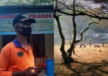 Wisata Keluarga Berbuah Duka, 7 Wisatawan Hanyut Terseret Ombak Pantai Goa Cemara saat Asyik Main Bola hingga Digulung Palung Laut, Penjaga Pantai: Saya Sudah Ingatkan Keluarga Itu!