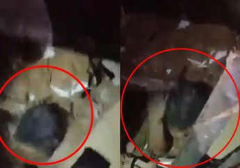 24 Jam Tertimpa Reruntuhan Puing Bangunan Bekas Ledakan Beirut, Gadis Kecil Ini Berhasil Bertahan Hidup