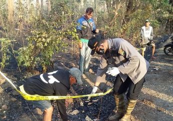 Misteri Penemuan Kerangka Manusia di Lahan Hutan Taman Nasional Baluran Bikin Geger Warga Sekitar!