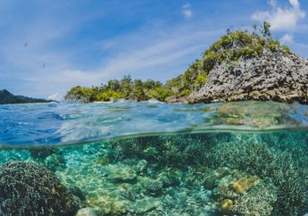 Contoh Hal yang Dapat Dilakukan untuk Menjaga Terumbu Karang! Inilah Kunci Jawaban TVRI, 7 Agustus 2020 untuk SMP