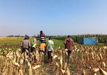 Dikocok Malah Meledak, Bocah SD di Probolinggo Mengalami Bernasib Malang hingga Kehilangan Jari Tangannya!