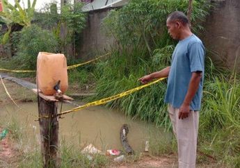 Hendak Menimba Air untuk Mencuci Piring, Seorang Warga Malah Dikejutkan dengan Temukan Mayat di dalam Kolam Bekas Gilian Bangsal!
