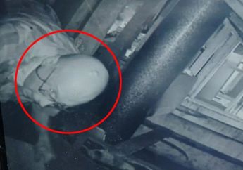 Setiap Malam Mendengar Suara Misterius dari Loteng, Keluarga Ini Pasang Kamera Tersembunyi dan Langsung Kaget Setengah Mati Melihat Sosok Ini yang Menjadi Biang Keladinya