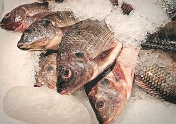 Nggak Nyangka, Ternyata Ikan Mujair Simpan 5 Bahaya Ini Buat Tubuh, Nomor 4 Geli Banget!