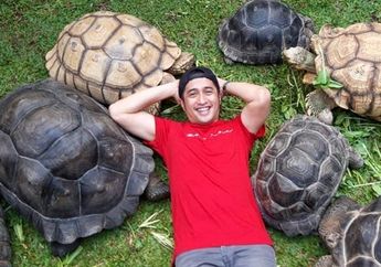 Bisa Jadi Pertanda Keberuntungan yang Besar, Inilah Arti Mimpi Melihat Kura-kura