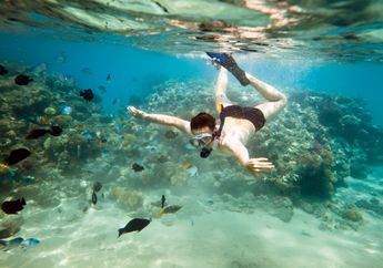 Pamitnya Snorkeling, Seorang Remaja Justru Ditemukan Telah Tewas Mengenaskan, Dikira Hanya karena Tenggelam Tapi Hasil Autopsi Berkata Lain
