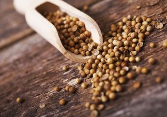 Penjelasan Lengkap Manfaat Ketumbar di Serat Centhini Ensiklopedia Jawa