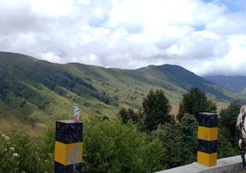 6 Bulan Kehilangan Penghasilan Gegara Pandemi dan Hanya dapat Bantuan Pemerintah 1 Kali, Ojek Kuda di Gunung Bromo Curahkan Isi Hatinya
