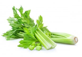 Nggak Heran Sering Dicampur pada Makanan, Ternyata Daun Selederi Punya Banyak Manfaat Buat Tubuh, Termasuk Bisa Bantu Diet