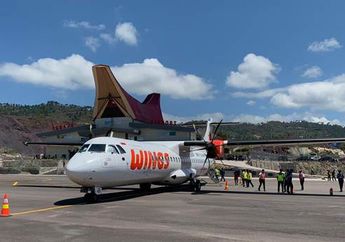 Gila! Hanya Gara-gara Gerah, Wanita ini Buka Pintu Darurat dan Keluar Untuk Mencari Angin Hingga Petugas Siaga