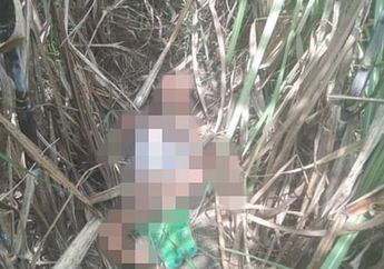 Gegara Persaingan Keluarga, Bocah 3 Tahun Diperkosa dan Dibunuh Musuh Bebuyutan Ayahnya