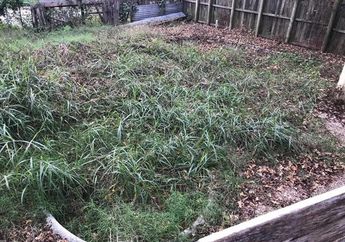 Mengira Hanya Membeli Rumah Bobrok Biasa, Pria Ini Kaget Bukan Main Setelah Diguyur Hujan Rumah Ini Terungkap Miliki Bagian Rahasia yang Membuat Harganya Naik 10 Kali Lipat