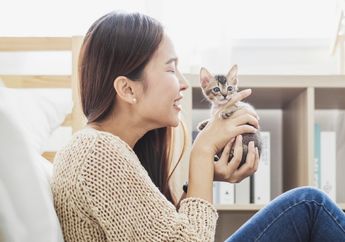 Waspada, Radang Otak karena Toksoplasma Sumbernya Bisa dari Kucing!
