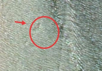 Coba Cari Tempat Mancing di Tengah Laut, Pria Asal Nunukan Justru Temukan Gambar Buaya Sebesar 15 Meter: Ukuran Kapal Hanya 12 Meter