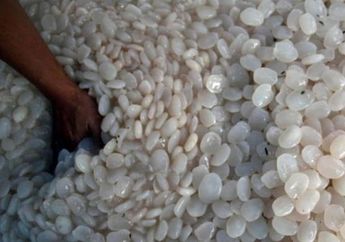 Waw, Cuma Rutin Makan Kolang-kaling, Kamu Akan Merasakan 5 Manfaat Ini pada Tubuh, Jangan Kaget ya!