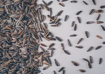 Sudah Tua Nanti Anti Sakit-sakitan, Rahasianya Ternyata Cuma Rutin Makan Kuaci, Ini Manfaatnya Bagi Kesehatan yang Sayang Dilewatkan